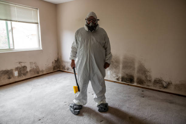 Best Mold Cleaning Services  in Carthage, MS